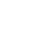 locodelaltillo
