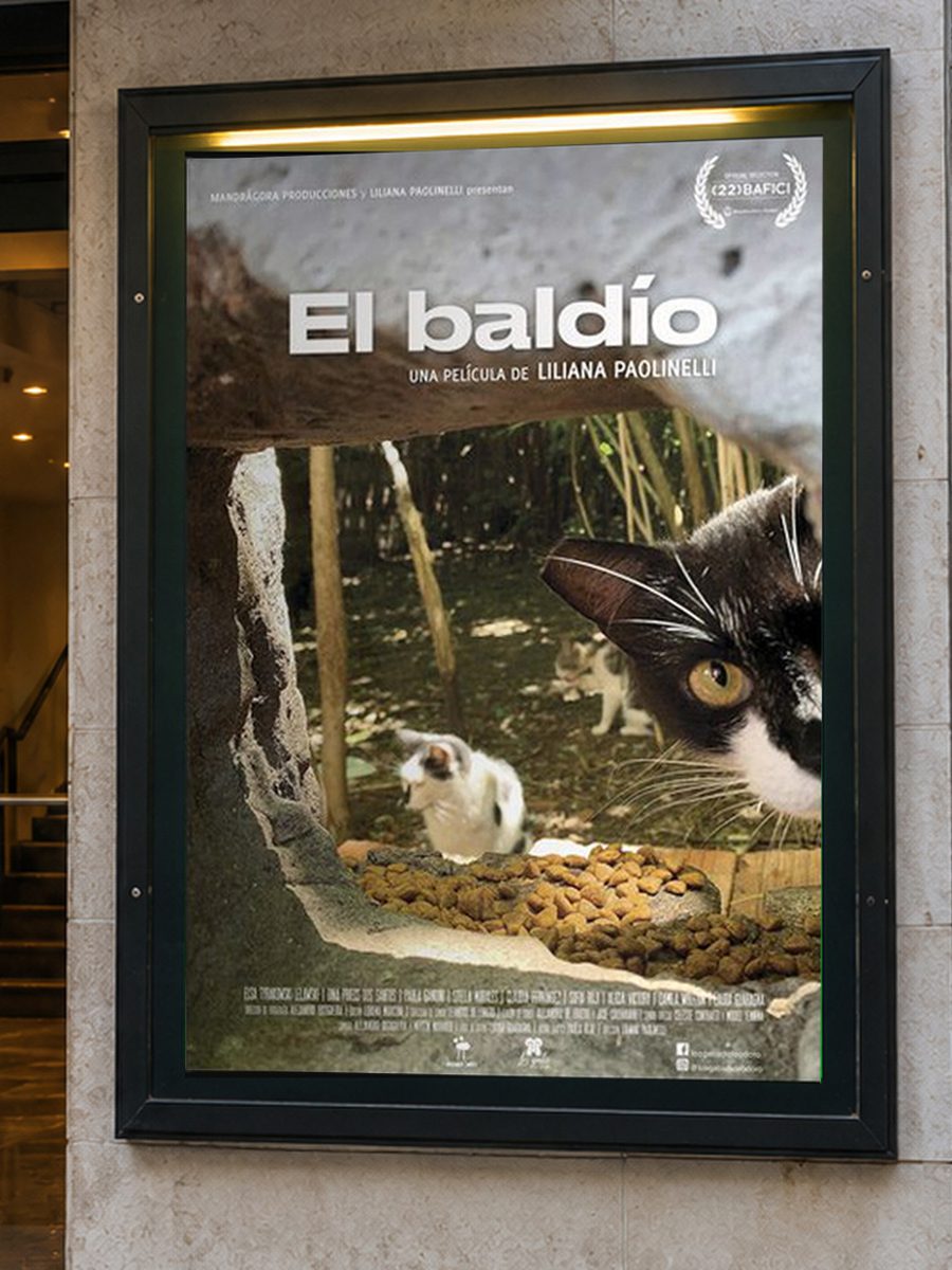 Afiche vertical de la película El baldío en cartelera