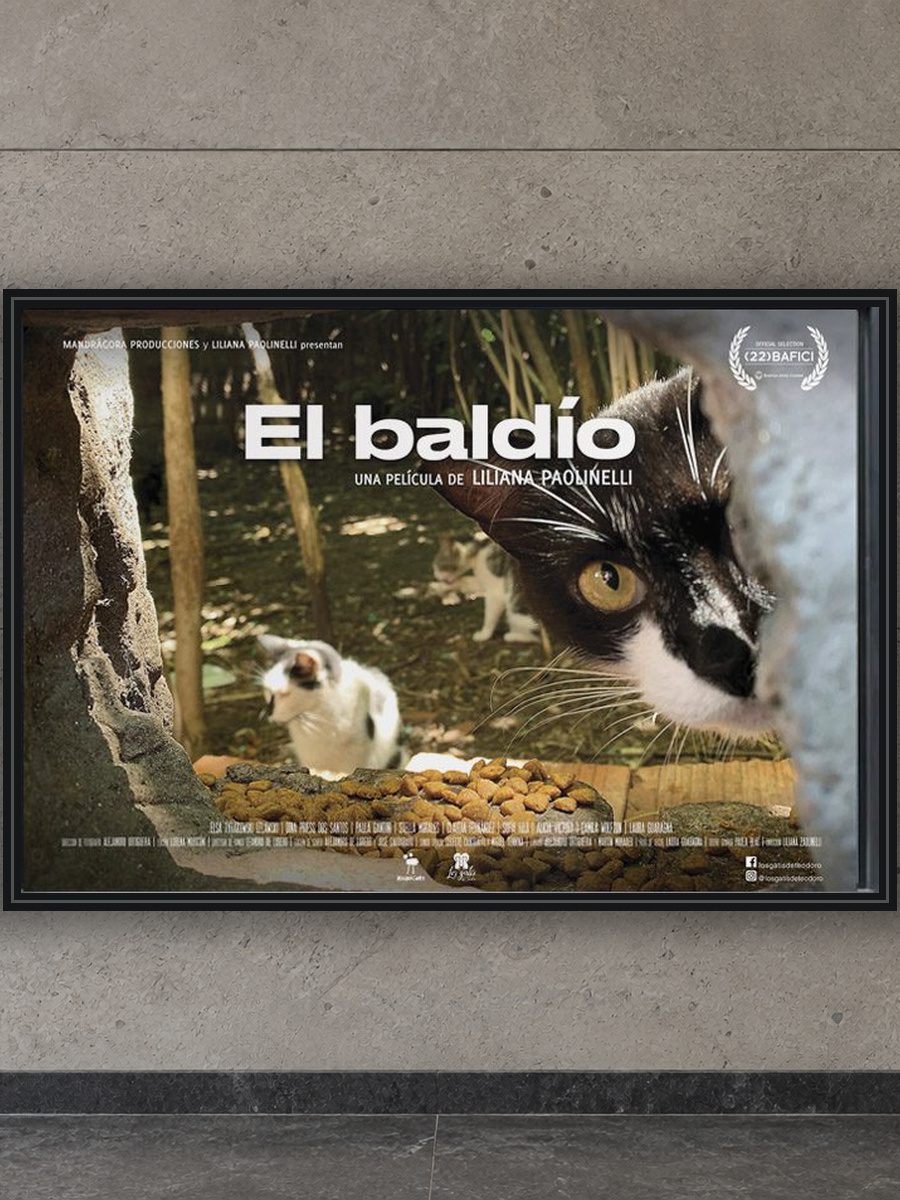 Afiche horizontal de El baldío aplicado sobre una pared