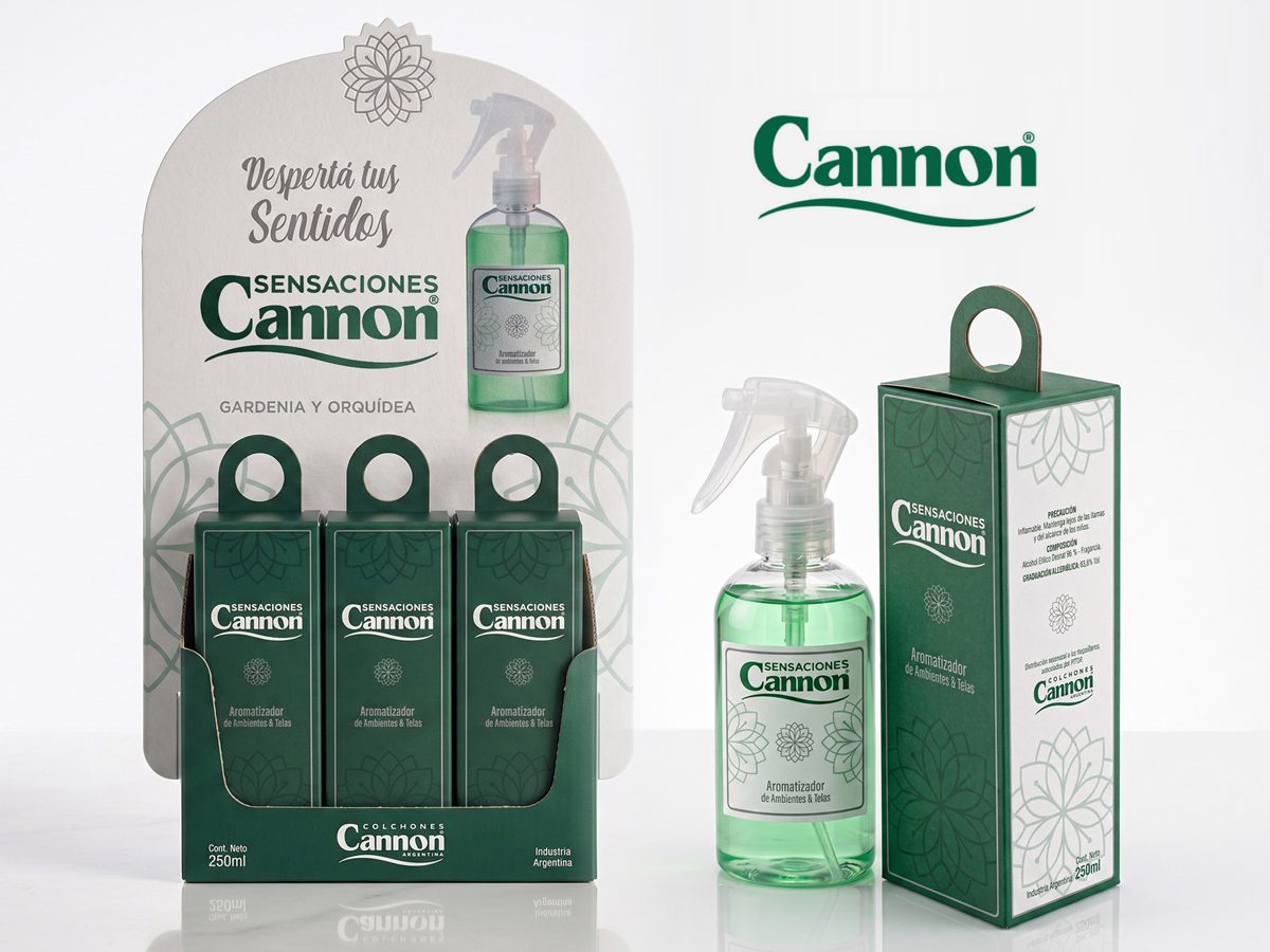 Proyecto Cannon